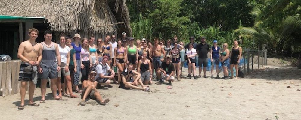 Students help save sea turtles in Costa Rica