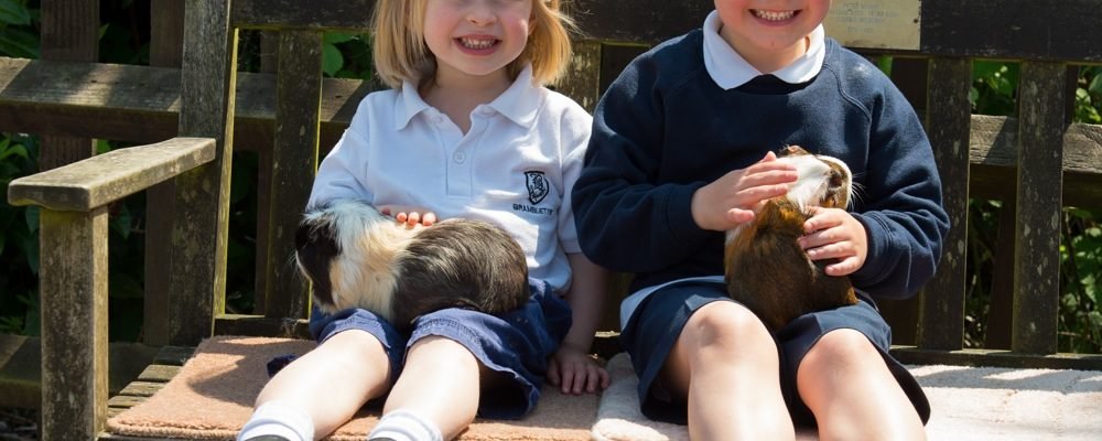 Bede’s Pupils’ fundraising efforts